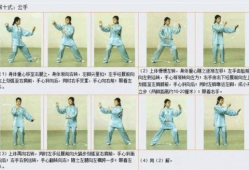 二十四式太极拳视频,领略传统武术魅力，体验身心和谐之道