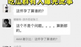 爆料吃瓜聊天记录下载,一场网络爆料的背后真相