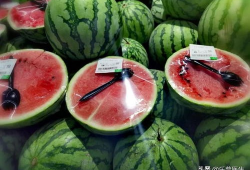 各种网红爆料吃瓜群聊