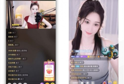 yy直播性爱过程,揭秘网络性爱直播的隐秘世界