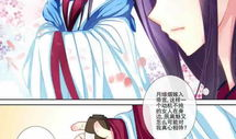 魔妃嫁到漫画,穿越古代的奇幻爱情之旅