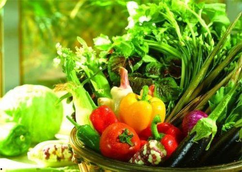 菜棚吃瓜最新事件爆料,揭秘最新事件背后的惊人真相