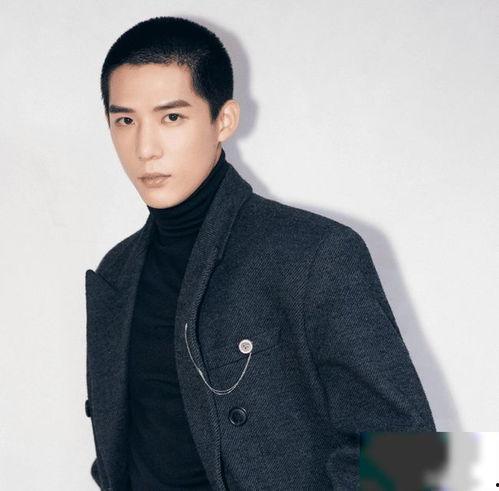 会长吃瓜爆料王安宇,吃瓜达人会长揭秘娱乐圈幕后故事